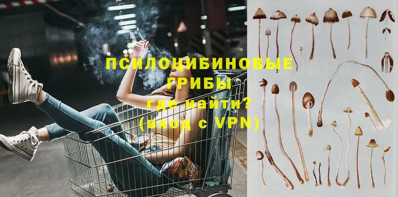 Галлюциногенные грибы Magic Shrooms  Электроугли 